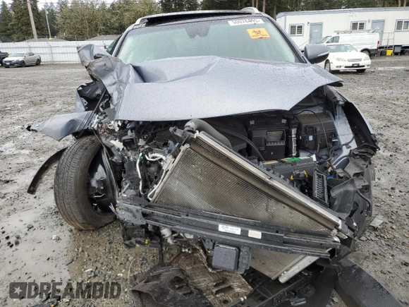 2020 Kia Sorento EX V6 with VIN 5XYPH4A5XLG702639, listed as a Copart auction lot 50076495 with 0 mi miles and Salvage Title. Bid and sale history available at carsss.com. Image 5.