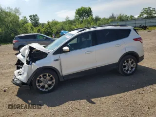 2013 Ford Escape SEL with VIN 1FMCU0HX4DUA84806, listed as a Copart auction lot 62593805 with 107,147 mi miles and Salvage title. Bid and sale history available at DreamBid. Image 1.