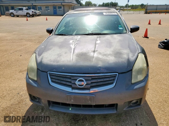 2007 Nissan Maxima SE with VIN 1N4BA41E87C801989, listed as a Copart auction lot 56366975 with Not provided miles and Salvage title. Bid and sale history available at DreamBid. Image 5.