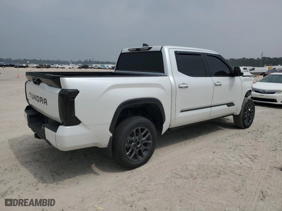 2024 Toyota Tundra 4WD Platinum with VIN 5TFNA5DBXRX232119, listed as a Copart auction lot 49095685 with 8,456 mi miles and Salvage Title. Bid and sale history available at carsss.com. Image 3.