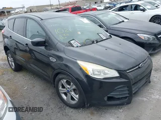 2014 Ford Escape SE with VIN 1FMCU0G97EUD02113, listed as a IAAI auction lot 42002908 with 133,238 mi miles. Bid and sale history available at carsss.com. Image 1.
