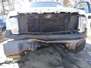 2009 Ford F-150 STX with VIN 1FTRX12W99KB72877, listed as a IAAI auction lot 41341609 with 315,102 mi miles. Bid and sale history available at carsss.com. Image 6.