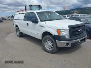 2013 Ford F-150 XL with VIN 1FTFX1ET5DKF98143, listed as a IAAI auction lot 42664843 with 233,561 mi miles and . Bid and sale history available at DreamBid. Image 1.