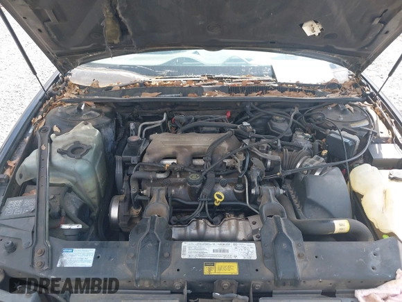 1996 Oldsmobile Cutlass Supreme S z VIN 1G3WH52M2TF363353, wystawiony jako IAAI lot #41955292 z przebiegiem 143 347 mil mil oraz . Historia ofert i sprzedaży dostępna na DreamBid. Obrazek 10.