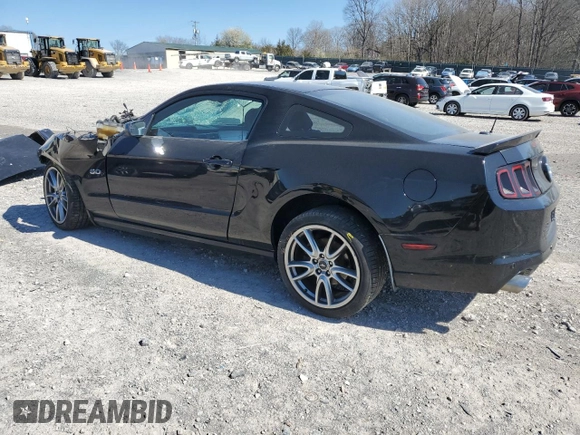 2013 Ford Mustang GT with VIN 1ZVBP8CF6D5248746, listed as a Copart auction lot 49592435 with Not Provided miles and Salvage Title. Bid and sale history available at carsss.com. Image 2.