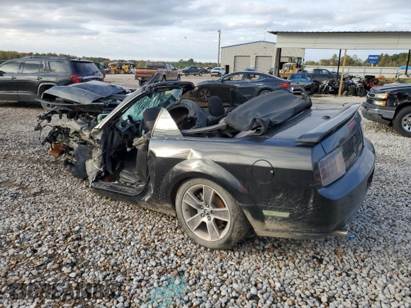2008 Ford Mustang GT Deluxe with VIN 1ZVHT85H585148521, listed as a Copart auction lot 43408265 with Not Provided miles and Salvage Title. Bid and sale history available at DreamBid. Image 2.