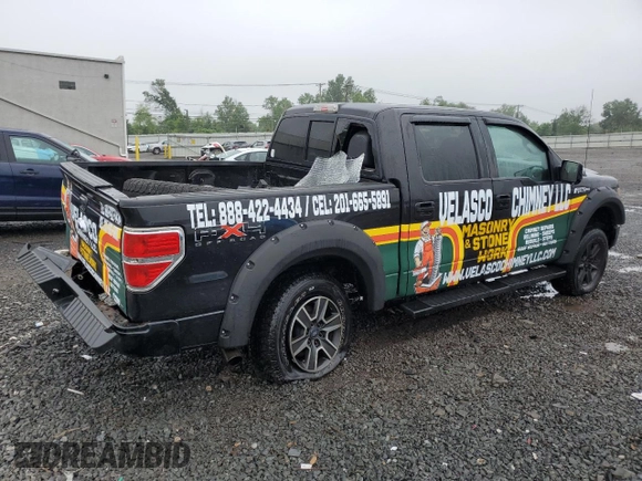2011 Ford F-150 XL with VIN 1FTFW1EF2BFA54198, listed as a Copart auction lot 61157805 with 121,657 mi miles and Salvage title. Bid and sale history available at DreamBid. Image 3.