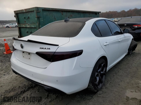 2019 Alfa Romeo Giulia Ti Sport with VIN ZARFAMBN1K7604602, listed as a Copart auction lot 65885482 with 65,701 mi miles. Bid and sale history available at carsss.com. Image 4.