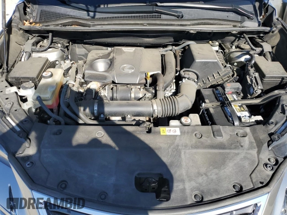 2018 Lexus NX 300 with VIN JTJBARBZ8J2164783, listed as a Copart auction lot 50224135 with 53,729 mi miles and Salvage title. Bid and sale history available at DreamBid. Image 14.