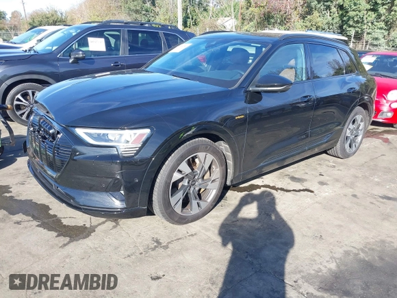 2022 Audi e-tron Premium with VIN WA1AAAGE6NB029002, listed as a IAAI auction lot 40856287 with 60,240 mi miles. Bid and sale history available at carsss.com. Image 19.