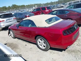2014 Ford Mustang V6 with VIN 1ZVBP8EM8E5322665, listed as a IAAI auction lot 41817768 with 97,405 mi miles. Bid and sale history available at carsss.com. Image 15.