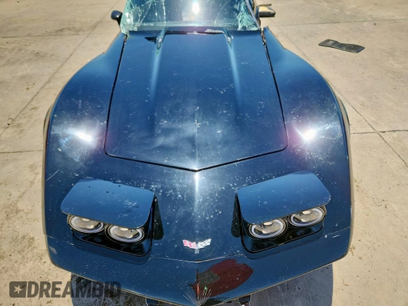 1979 Chevrolet Corvette with VIN 1Z8749S451738, listed as a Copart auction lot 59313215 with 29,000 mi miles and Salvage title. Bid and sale history available at DreamBid. Image 11.