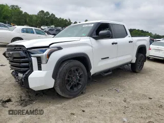 2024 Toyota Tundra SR5 with VIN 5TFLA5DB7RX213132, listed as a Copart auction lot 56789815 with 6,975 mi miles and Salvage title. Bid and sale history available at DreamBid. Image 1.