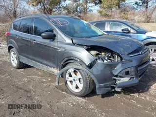 2016 Ford Escape SE with VIN 1FMCU0GX1GUC19942, listed as a IAAI auction lot 41504587 with 142,122 mi miles. Bid and sale history available at carsss.com. Image 1.