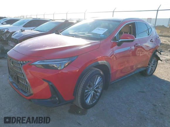 2025 Lexus NX 350 Luxury with VIN 2T2HGCEZ4SC065851, listed as a IAAI auction lot 41063792 with 1,061 mi miles and . Bid and sale history available at DreamBid. Image 17.