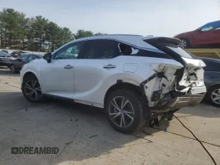 2023 Lexus RX with VIN 2T2BAMCA0PC028720, listed as a Copart auction lot 52867745 with 49,649 mi miles and Salvage Title. Bid and sale history available at carsss.com. Image 2.