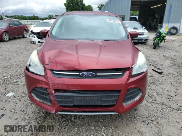 2013 Ford Escape SE with VIN 1FMCU0GX4DUC78270, listed as a Copart auction lot 58935755 with 163,837 mi miles and Salvage title. Bid and sale history available at DreamBid. Image 5.