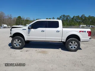 2017 Ford F-150 XL with VIN 1FTEW1EG2HFC42507, listed as a IAAI auction lot 41880756 with 145,889 mi miles. Bid and sale history available at carsss.com. Image 14.