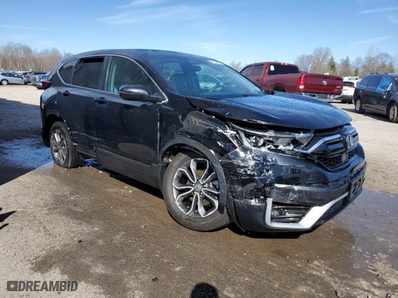 2022 Honda CR-V EX with VIN 2HKRW2H56NH664847, listed as a Copart auction lot 50304685 with 33,728 mi miles and Salvage Title. Bid and sale history available at carsss.com. Image 4.