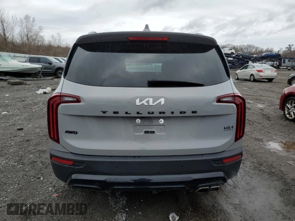2022 Kia Telluride SX with VIN 5XYP5DHC3NG288104, listed as a Copart auction lot 52617285 with 30,312 mi miles and Salvage Title. Bid and sale history available at DreamBid. Image 6.