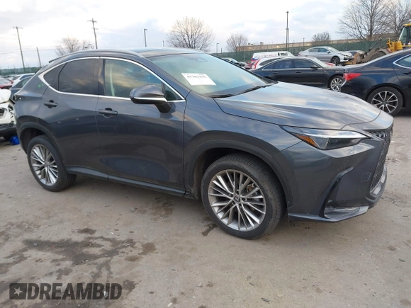 2023 Lexus NX with VIN 2T2HGCEZ2PC024481, listed as a IAAI auction lot 41203195 with 1 mi miles. Bid and sale history available at carsss.com. Image 1.