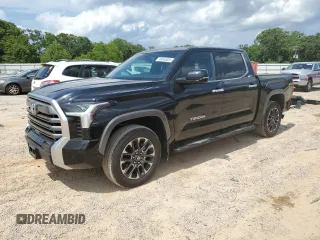 2025 Toyota Tundra Limited with VIN 5TFJA5DB6SX274047, listed as a Copart auction lot 58040005 with 3,979 mi miles and Salvage title. Bid and sale history available at DreamBid. Image 1.