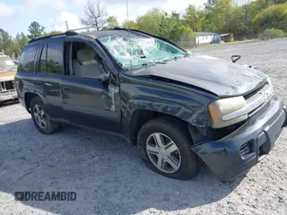 2005 Chevrolet TrailBlazer LS with VIN 1GNDS13S252120805, listed as a IAAI auction lot 41947103 with Not Provided miles and . Bid and sale history available at DreamBid. Image 1.