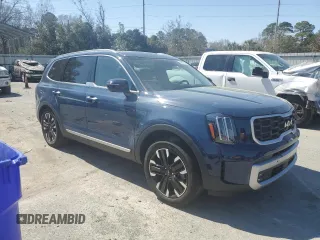 2024 Kia Telluride SX X-Line with VIN 5XYP5DGC0RG485674, listed as a Copart auction lot 48816625 with 24,056 mi miles and Salvage Title. Bid and sale history available at carsss.com. Image 4.