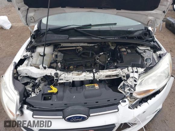 2013 Ford Focus SE with VIN 1FADP3F25DL221207, listed as a IAAI auction lot 41209646 with 160,125 mi miles and . Bid and sale history available at DreamBid. Image 10.