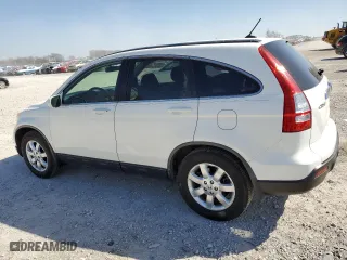 2008 Honda CR-V EX-L with VIN JHLRE48738C044282, listed as a Copart auction lot 48811825 with 182,840 mi miles and Salvage Title. Bid and sale history available at carsss.com. Image 2.