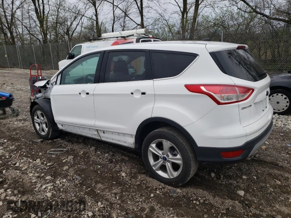 2014 Ford Escape SE with VIN 1FMCU0GX6EUA03906, listed as a Copart auction lot 50356845 with 101,852 mi miles and Salvage Title. Bid and sale history available at carsss.com. Image 2.