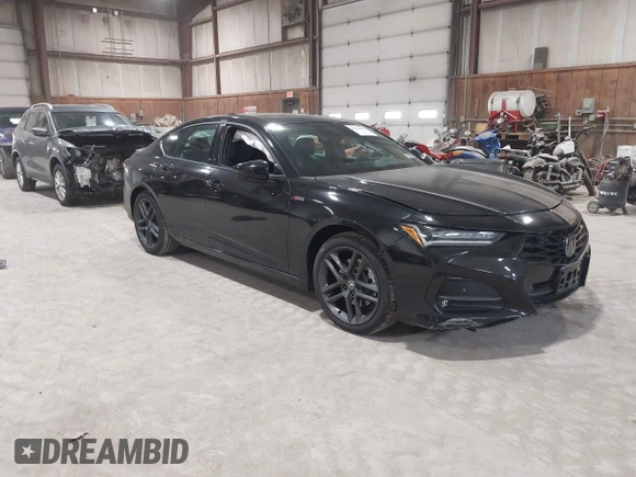 2025 Acura TLX w/A-Spec Package with VIN 19UUB6F50SA000385, listed as a IAAI auction lot 41988181 with 4,231 mi miles and . Bid and sale history available at DreamBid. Image 1.