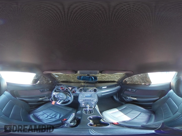 2019 Ford Mustang GT with VIN 1FA6P8CF0K5124320, listed as a Copart auction lot 48339554 with 102,387 mi miles and Salvage title. Bid and sale history available at DreamBid. Image 14.