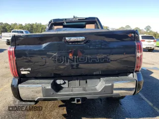 2022 Toyota Tundra 1794 Edition with VIN 5TFMA5DB2NX033703, listed as a Copart auction lot 41414545 with Not provided miles and Salvage title. Bid and sale history available at DreamBid. Image 6.