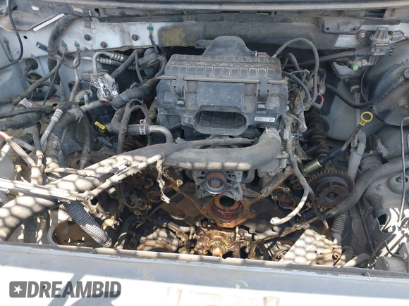 2004 Ford F-150 XLT with VIN 1FTPW12544KC72508, listed as a IAAI auction lot 42682107 with Not provided miles and . Bid and sale history available at DreamBid. Image 10.