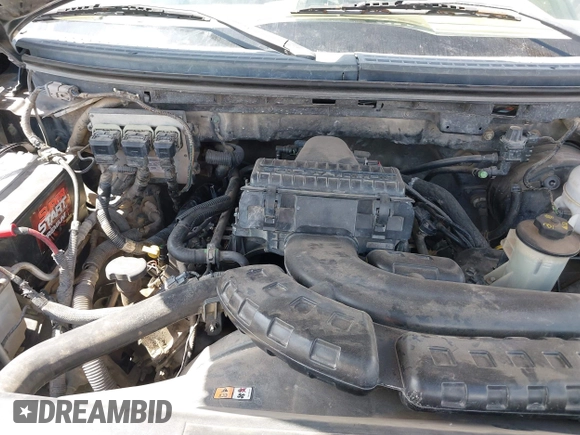 2005 Ford F-150 XLT with VIN 1FTPW12575FB75555, listed as a IAAI auction lot 42586855 with 265,465 mi miles and . Bid and sale history available at DreamBid. Image 10.