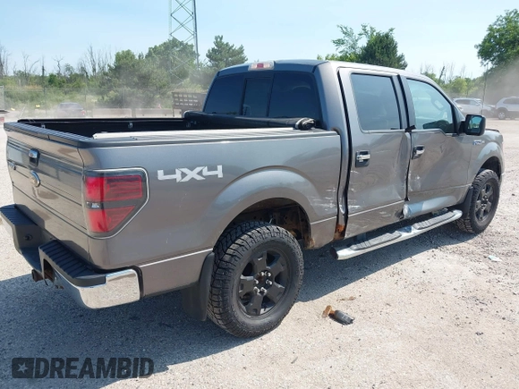 2010 Ford F-150 XL with VIN 1FTEW1E83AFD18282, listed as a IAAI auction lot 42653428 with 207,118 mi miles and . Bid and sale history available at DreamBid. Image 4.