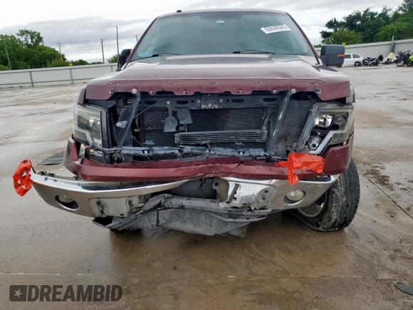 2009 Ford F-150 XL with VIN 1FTRW128X9FA32446, listed as a Copart auction lot 60648505 with 210,587 mi miles and Salvage title. Bid and sale history available at DreamBid. Image 5.