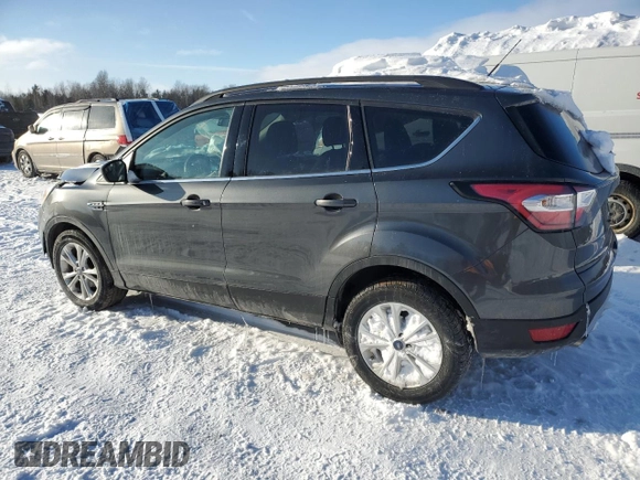 2017 Ford Escape SE with VIN 1FMCU0GD6HUD61260, listed as a Copart auction lot 45556065 with 100,383 mi miles and Clean Title. Bid and sale history available at carsss.com. Image 2.