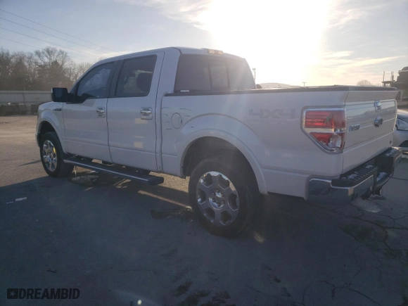 2010 Ford F-150 XL with VIN 1FTFW1EV7AFD78396, listed as a Copart auction lot 46100785 with 194,250 mi miles and Salvage Title. Bid and sale history available at carsss.com. Image 2.