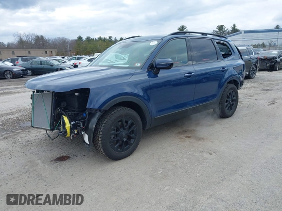 2024 Kia Telluride SX Prestige X-Pro с VIN 5XYP5DGC9RG476097, выставлен на аукционе IAAI как лот 41865672 с пробегом 8 651 миль миль и . История ставок и продаж доступна на DreamBid. Изображение 17.