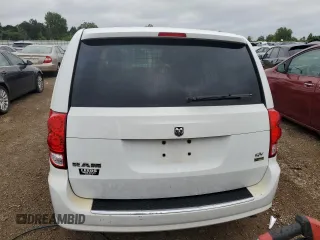 2014 Ram Cargo Van Tradesman with VIN 2C4JRGAG1ER316163, listed as a Copart auction lot 66036454 with Not Provided miles and Salvage Title. Bid and sale history available at DreamBid. Image 6.