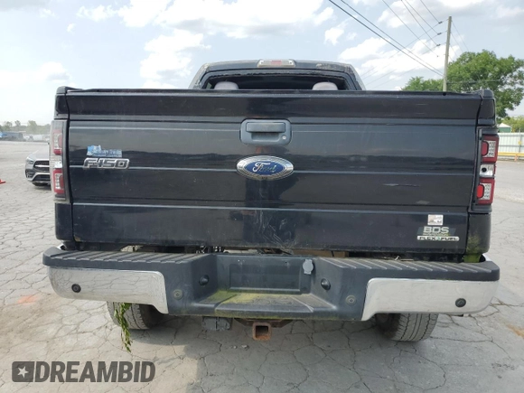2011 Ford F-150 XL with VIN 1FTFW1EF5BFA50629, listed as a Copart auction lot 60555855 with Not provided miles and Salvage title. Bid and sale history available at DreamBid. Image 6.