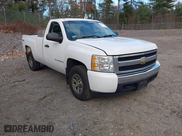 2008 Chevrolet Silverado 1500 Work Truck with VIN 1GCEK14C28Z246081, listed as a IAAI auction lot 40815734 with 137,738 mi miles. Bid and sale history available at carsss.com. Image 1.