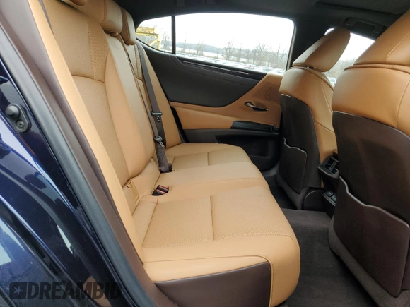 2021 Lexus ES 250 with VIN 58AD11D14MU003669, listed as a Copart auction lot 50762165 with 25,117 mi miles and Salvage title. Bid and sale history available at DreamBid. Image 10.