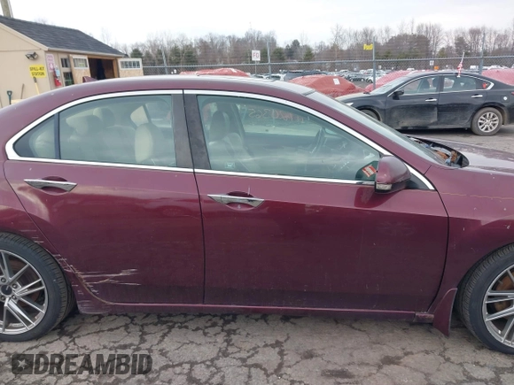 2010 Acura TSX with VIN JH4CU4F46AC002689, listed as a IAAI auction lot 41720365 with 175,415 mi miles. Bid and sale history available at carsss.com. Image 14.