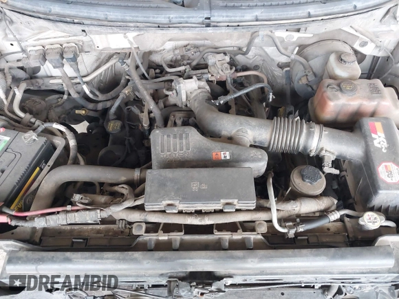2010 Ford F-150 XL with VIN 1FTEX1CW5AKE46562, listed as a IAAI auction lot 42261296 with Not provided miles and . Bid and sale history available at DreamBid. Image 10.
