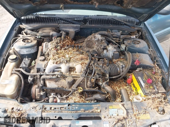 1996 Pontiac Grand Am SE with VIN 1G2NE52M8TC810732, listed as a IAAI auction lot 42338979 with 107,027 mi miles and . Bid and sale history available at DreamBid. Image 10.