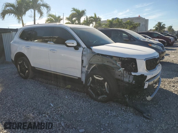 2024 Kia Telluride EX with VIN 5XYP34GC9RG564038, listed as a Copart auction lot 87789455 with 3,922 mi miles and Salvage Title. Bid and sale history available at DreamBid. Image 4.