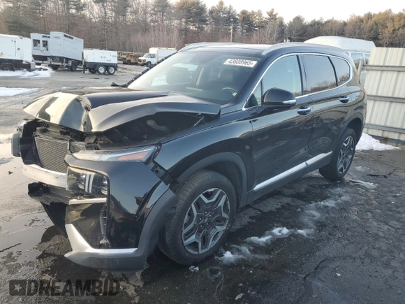 2022 Hyundai Santa Fe Limited with VIN 5NMS4DAL3NH386384, listed as a Copart auction lot 43608965 with 0 mi miles and Salvage Title. Bid and sale history available at carsss.com. Image 1.